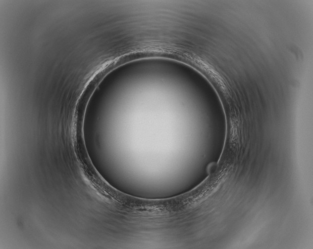 X0000112490580200908171249