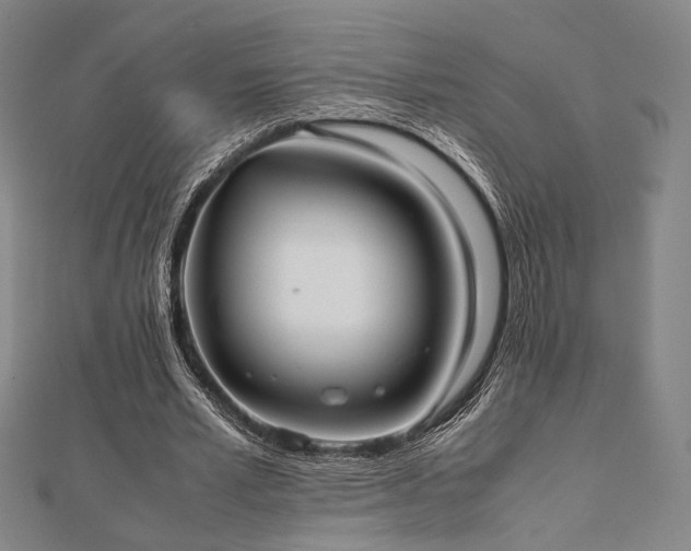 X0000112490581200908171249