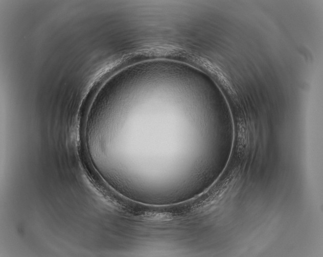 X0000112490582200908171249