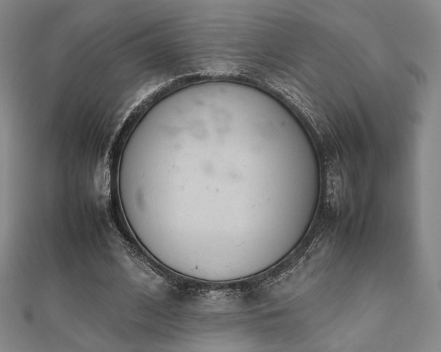 X0000112490584200908171249