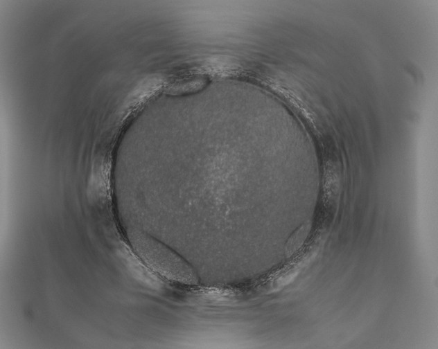 X0000112490585200908171249
