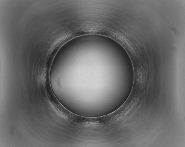X0000112490586200908171249