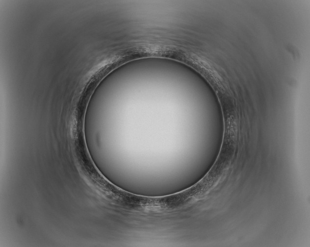 X0000112490587200908171249