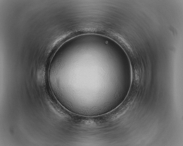 X0000112490588200908171249