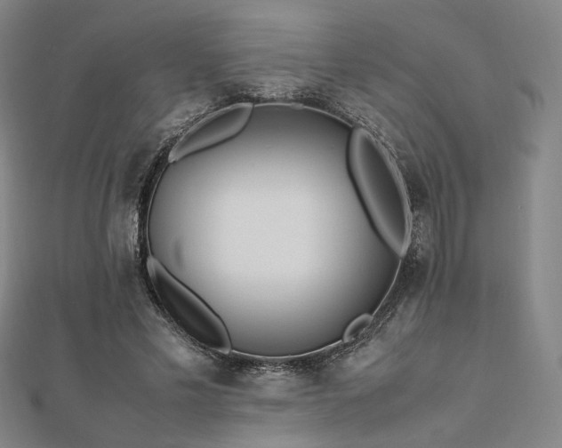 X0000112490589200908171249
