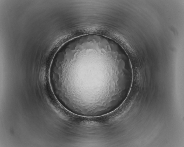 X0000112490590200908171249