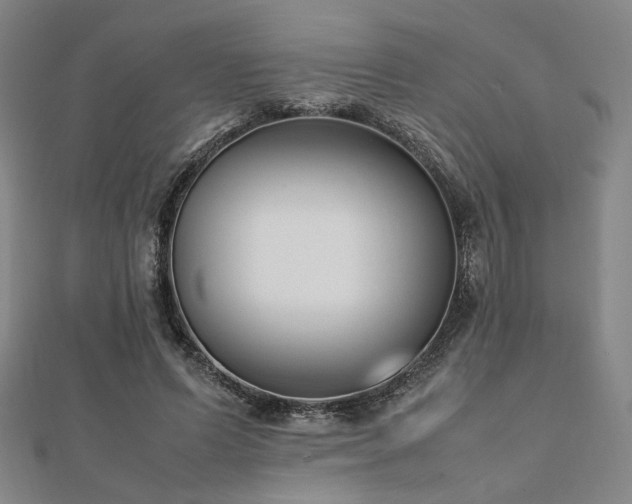 X0000112490591200908171249