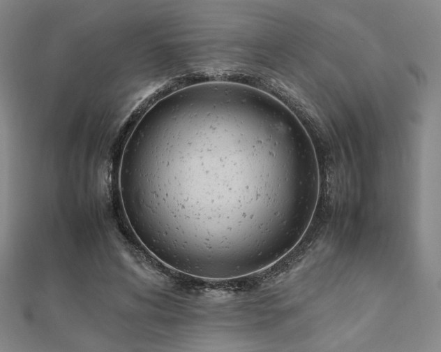 X0000112490592200908171249