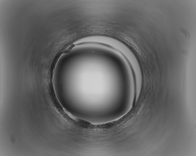 X0000112490593200908171249