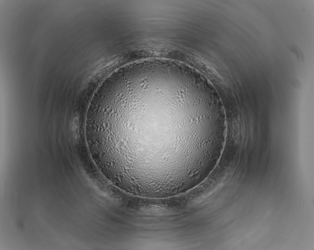 X0000112490594200908171249