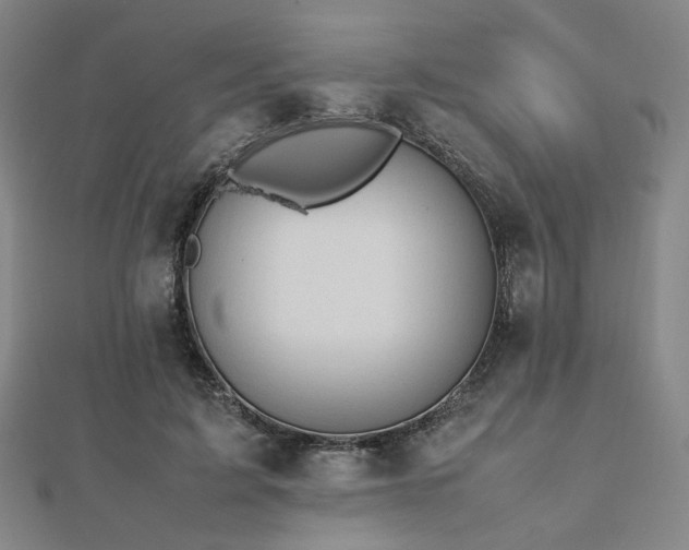 X0000112490595200908171249