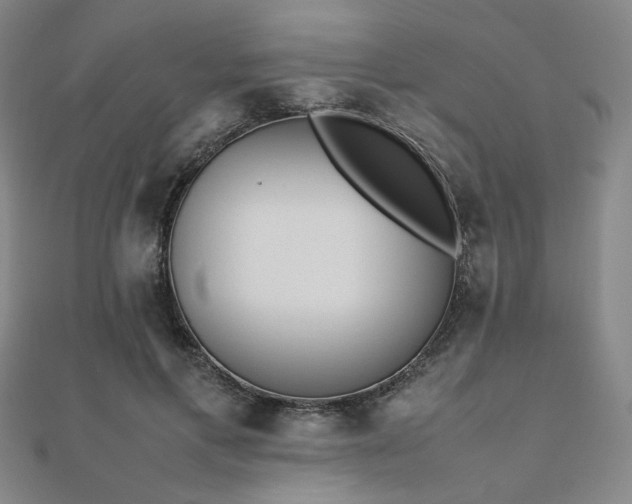 X0000112490597200908171249