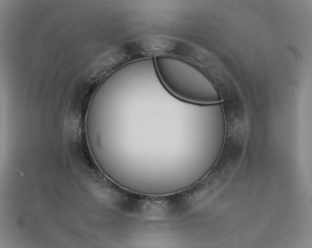 X0000112490599200908171249