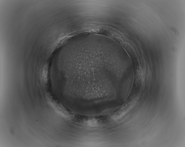 X0000112490600200908171249