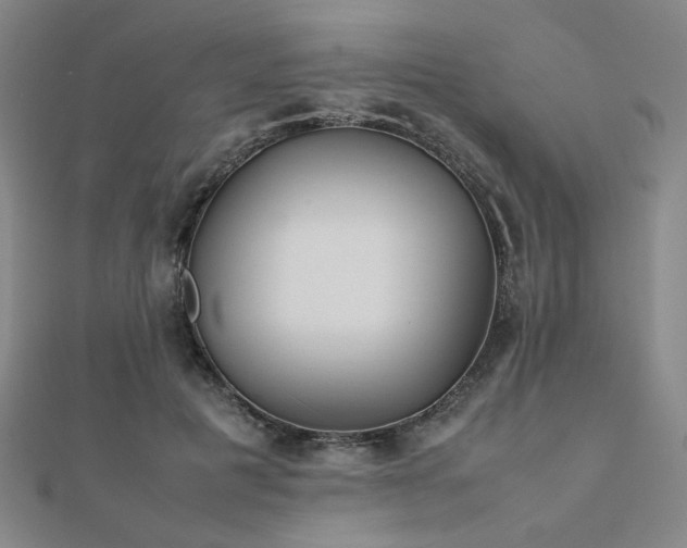 X0000112490601200908171249