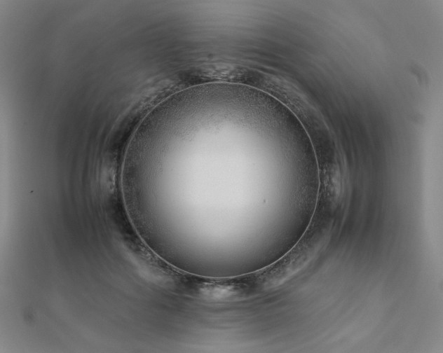 X0000112490602200908171249