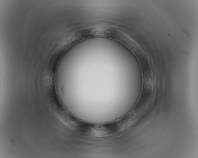 X0000112490603200908171249