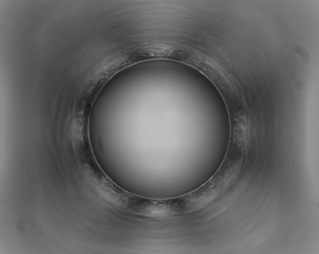 X0000112490604200908171249