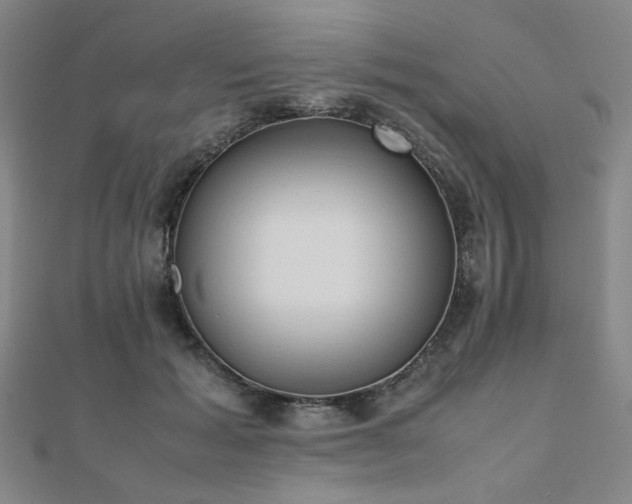 X0000112490605200908171249