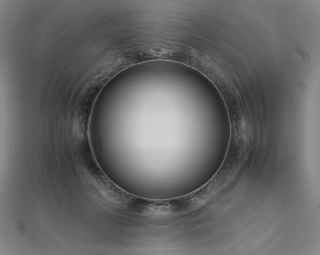 X0000112490606200908171249