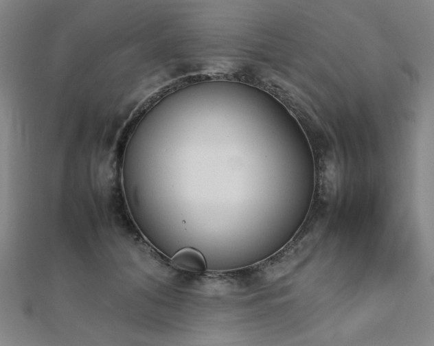X0000112490608200908171249
