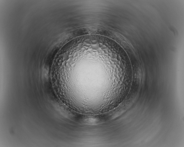 X0000112490610200908171249