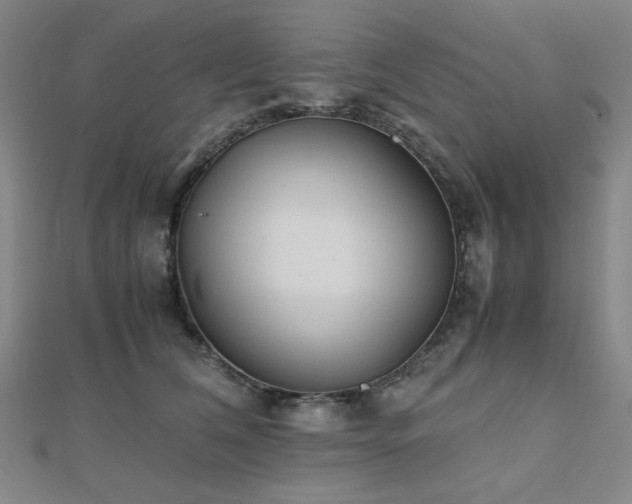 X0000112490612200908171248