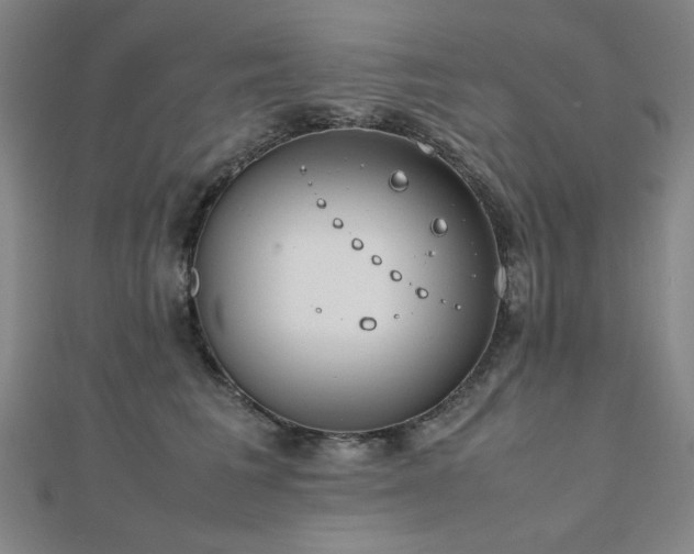 X0000112490613200908171248