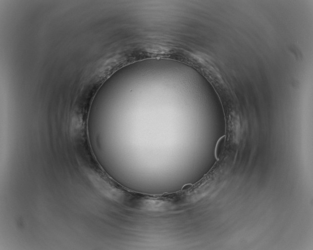 X0000112490614200908171248