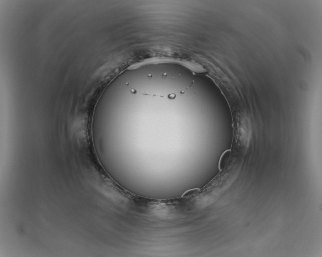 X0000112490616200908171248