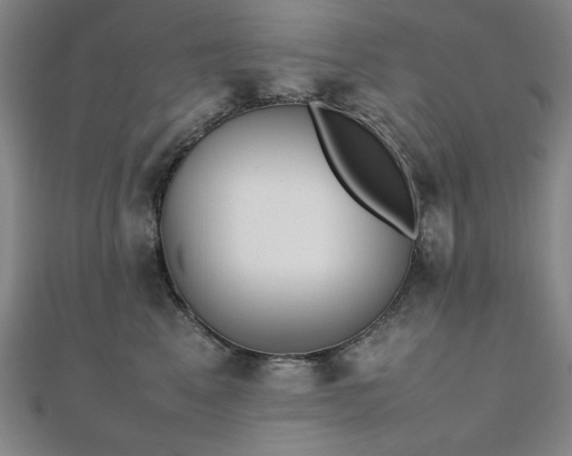 X0000112490617200908171248