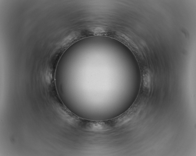 X0000112490618200908171248