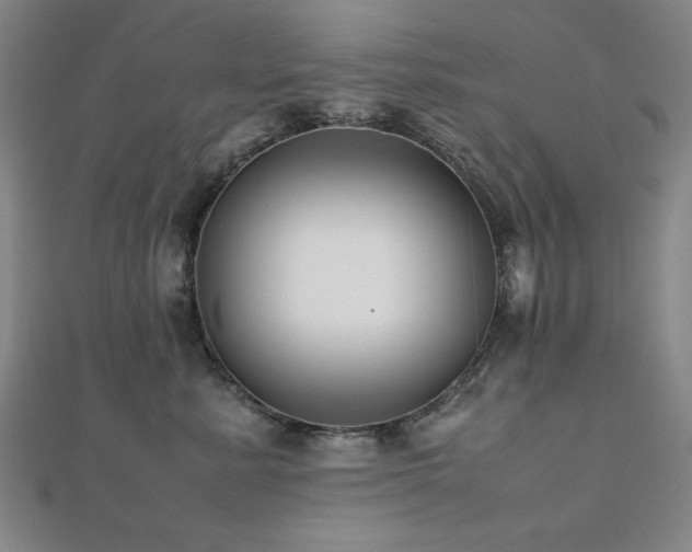 X0000112490619200908171248