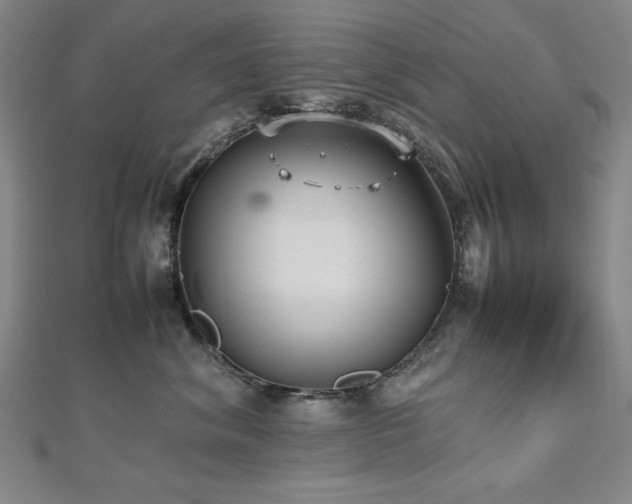 X0000112490620200908171248