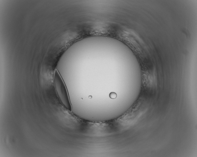 X0000112490621200908171248