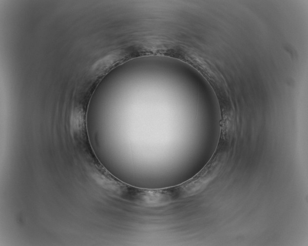 X0000112490623200908171248