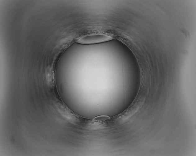 X0000112490624200908171248