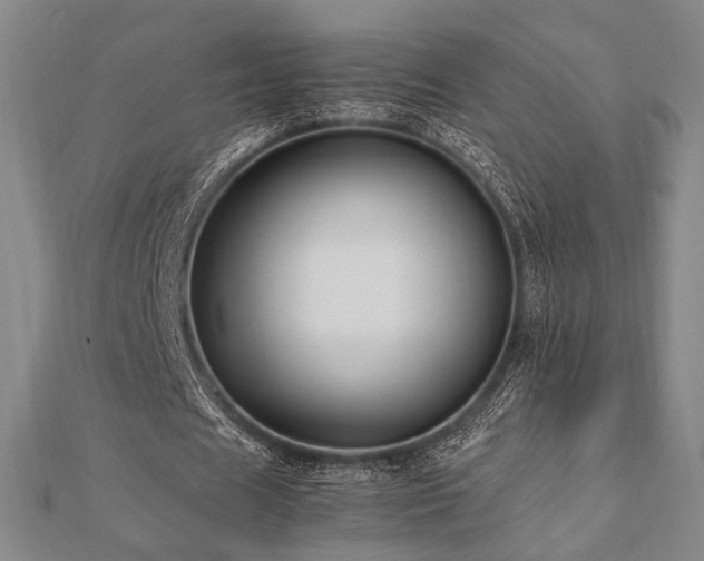 X0000112490625200908171248