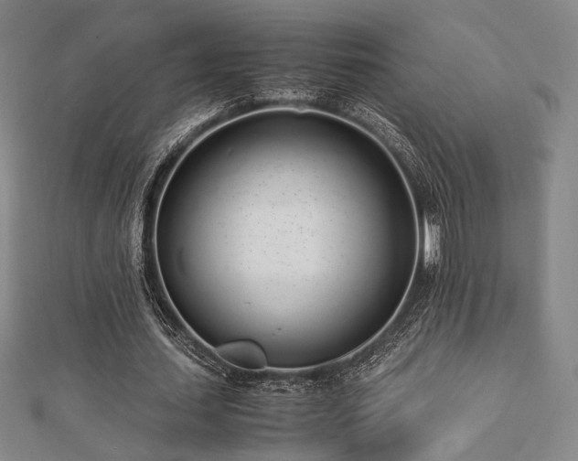 X0000112490627200908171248