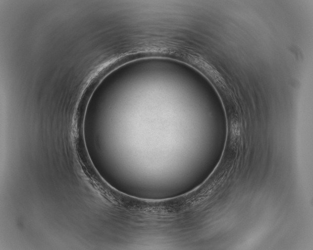 X0000112490628200908171248