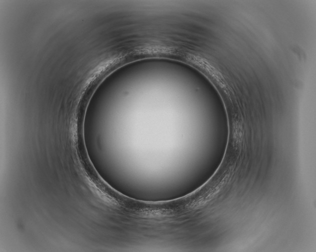 X0000112490629200908171248