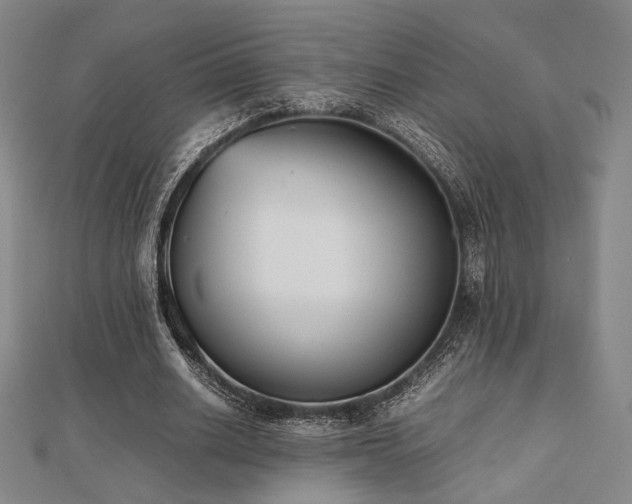 X0000112490630200908171248