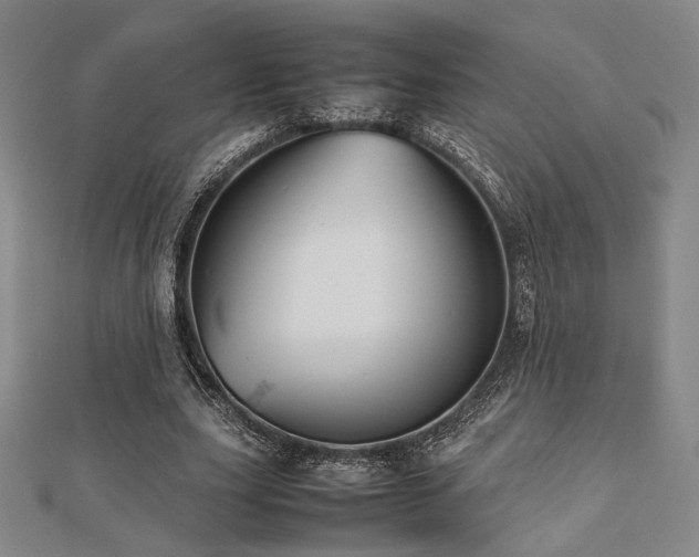 X0000112490631200908171248