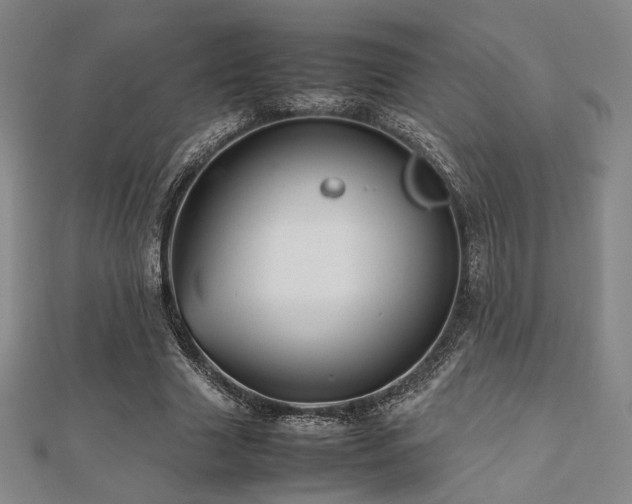 X0000112490633200908171248