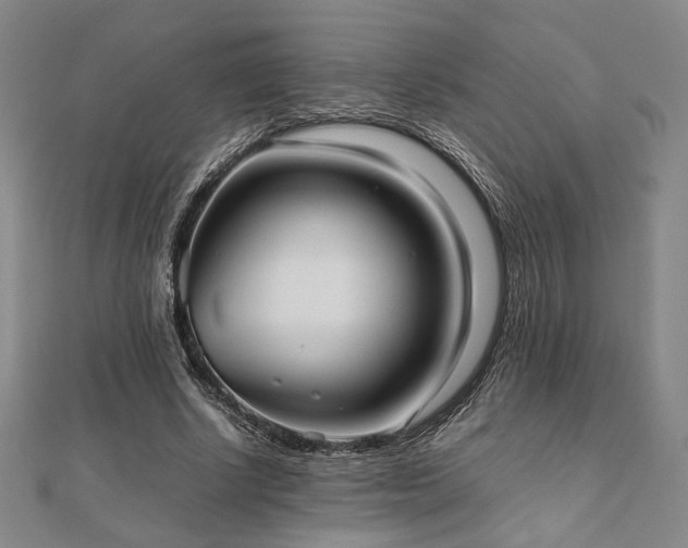 X0000112490634200908171248
