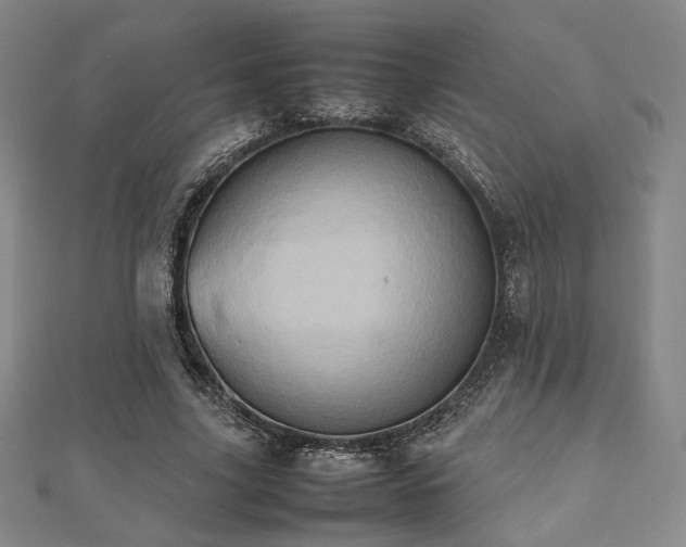 X0000112490635200908171248