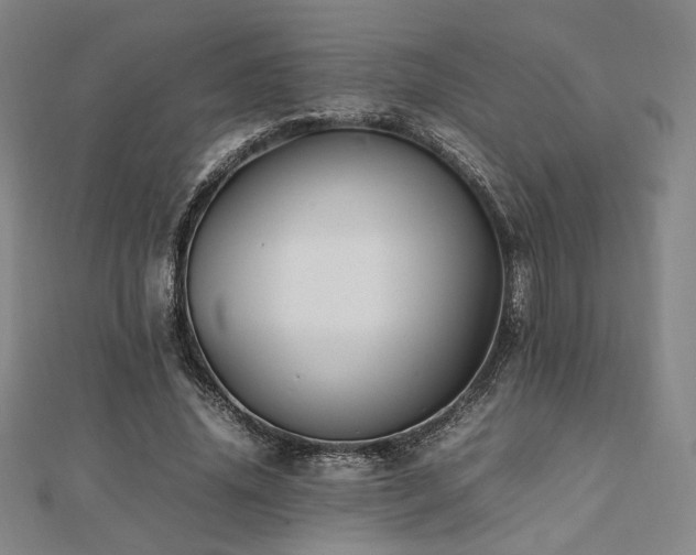 X0000112490636200908171248