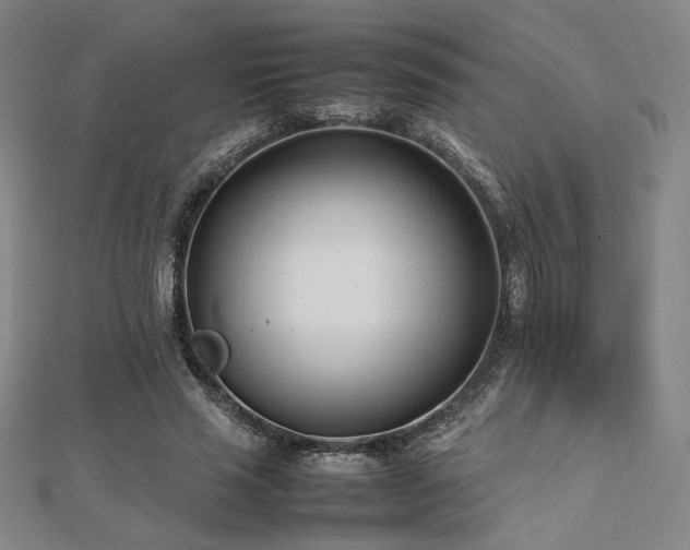X0000112490637200908171248