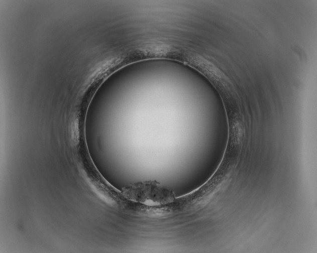 X0000112490638200908171248