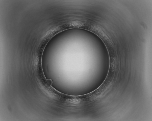 X0000112490639200908171248